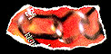 Links from 2 Nigs United 2 Webdom